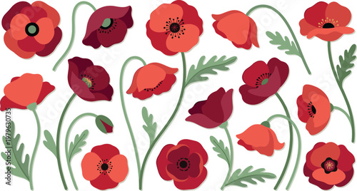 Set of red poppy flowers with stems and leaves in modern flat vector style, decorative floral collection with blooming wildflowers and botanical elements