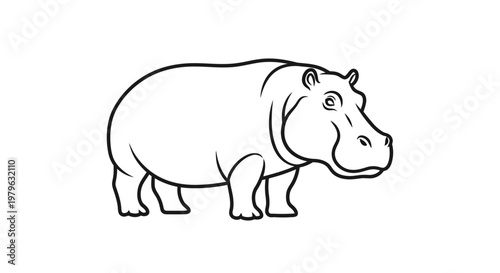 Hippopotamus Outline Drawing, Simple Vector Illustration of a Hippo