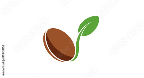 Abstract illustration of a coffee bean sprouting, representing growth and the natural process
