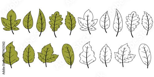 Hand-drawn cartoon and doodle set of leaves on a white background.