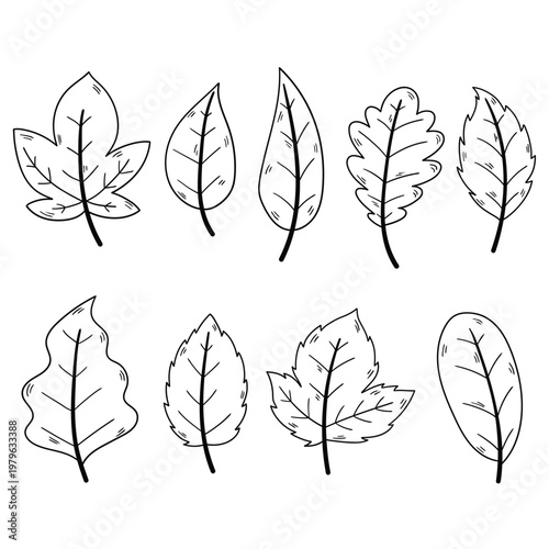 Hand-drawn doodle set of leaves on a white background.
