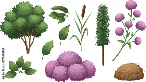 Set of natural plants and shrubs including trees, grass and flowers, detailed botanical elements collection isolated vector illustration for landscape design