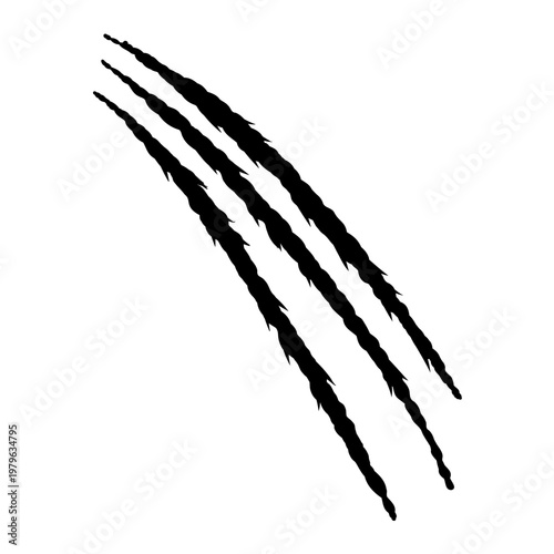 Black claw scratches mark isolated on transparent background. Vector design element for Halloween party invitation card, horror themes, and animalistic effects.