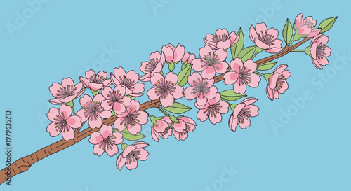 Illustration of a cherry blossom branch with pink flowers and green leaves on a blue background.