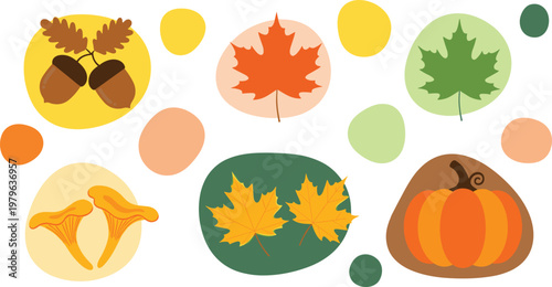 Autumn elements set with leaves, pumpkin, acorns and mushrooms, fall season collection isolated vector illustration for seasonal and harvest design