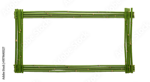 Bamboo border frame, Asian-inspired design, simple green lines