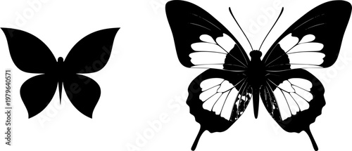 A symmetrical butterfly with a bold solid black shape stands out against a pristine white background in this minimalist flat vector art piece
