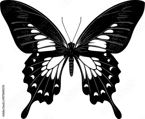 The Symmetrical Peacock butterfly, with its bold black shape against a pristine white backdrop, exudes elegance in this minimalist flat vector art, showcasing flawless sharp edges for precise auto