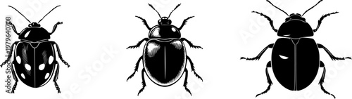 A tortoise beetle with its round domed shell, stark black silhouette, clean continuous outline, solid white background, high contrast minimalism, crisp sharp edges, easy to trace, stencil, monochrome