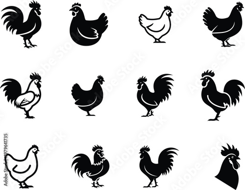 black and white chicken and rooster silhouettes on white background