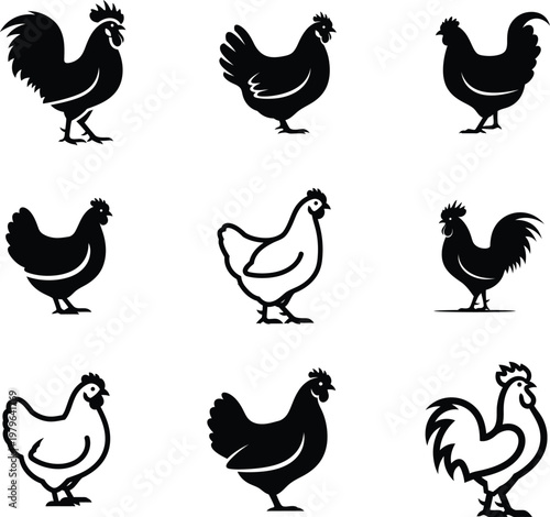 black and white chicken silhouettes on white background