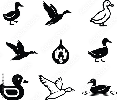 Black and white duck silhouettes and illustrations in various poses and styles