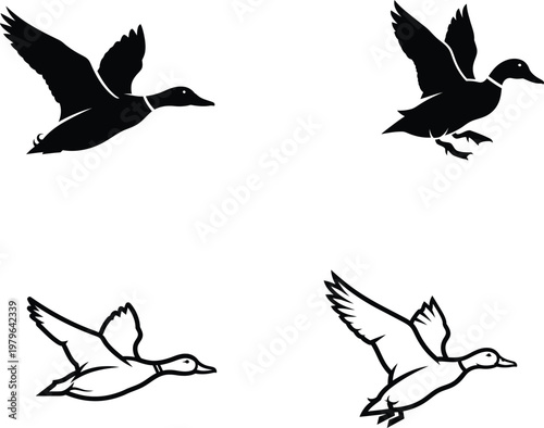 Four ducks in flight with different designs and colors
