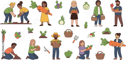People Gardening and Harvesting Vegetables, Including Carrots, Radishes, Lettuce, and Greens in Eco-Friendly Garden for Organic Farming Illustrations