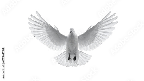 Fotografía White Dove Flying with Wings Spread Wide Isolated on White Background Symbol of