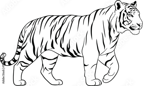 Graceful black and white sketch of a running tiger in natural pose