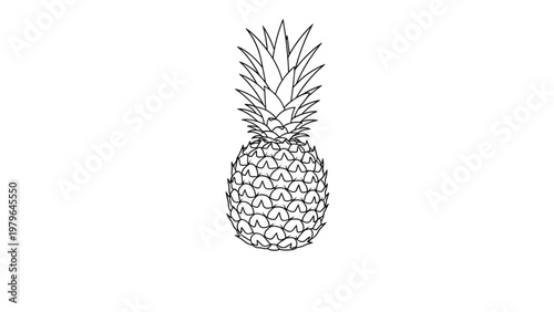 Detailed black and white outline of a whole pineapple fruit features its textured skin and spiky leaves on top.