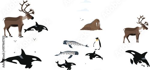 Arctic Animal Set Featuring Reindeer, Walrus, Orca, Seal, and Penguin for Winter Wildlife Lovers