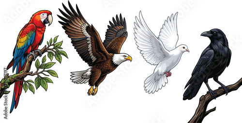 Bird Collection Featuring Parrot, Eagle, Dove, and Raven in Detailed Style for Wildlife, Nature, Symbolism, and Freedom-Themed Designs