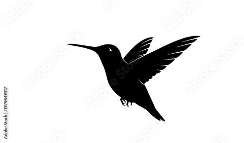 Hummingbird silhouette flying bird vector illustration elegant wildlife icon isolated on white background