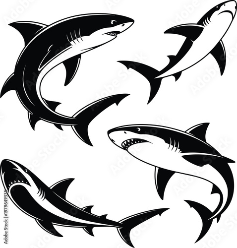 Shark, silhouette, set, vector, illustration, black, marine, predator, ocean, wildlife, isolated, tattoo, design, nautical, sea, animal, graphic, collection, clipart, logo