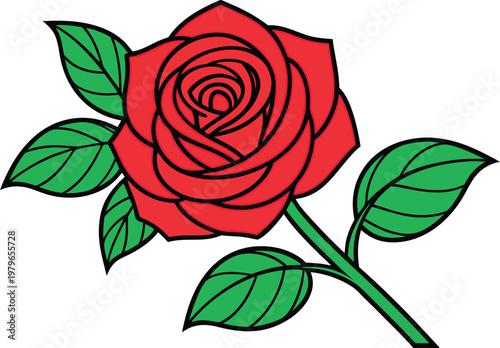 Rose National Flower Botanical. Elegant Rose Flower Study. Rose Blossom Floral Illustration. National Flower Rose Design. Classic Rose Flower Drawing art. Rose Stem and Bloom Art. Rose Garden Flower