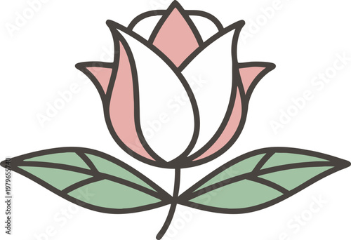 Rose National Flower Botanical. Elegant Rose Flower Study. Rose Blossom Floral Illustration. National Flower Rose Design. Classic Rose Flower Drawing art. Rose Stem and Bloom Art. Rose Garden Flower