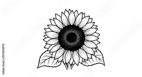 black and white flower