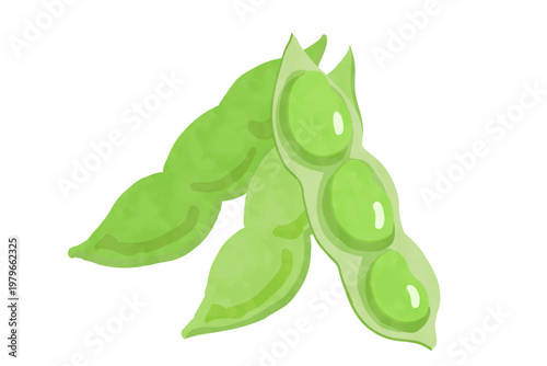 手描き風の枝豆のベクターイラスト