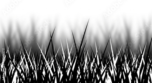 silhouette of grass