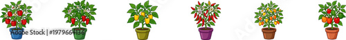 Potted pepper and tomato plant vector collection.