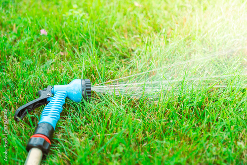 Wallpaper Mural Bright sunlight beams over lush green grass Torontodigital.ca