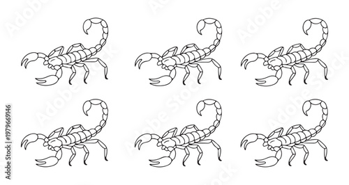 Scorpion illustration tattoo design isolated on white background vector art animal tattoo art tribal tattoo.