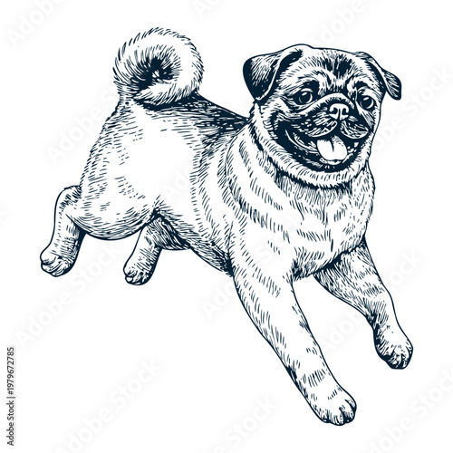 Illustration of a playful pug dog with a happy expression, running energetically with its tail curled and ears flopping in a lively manner