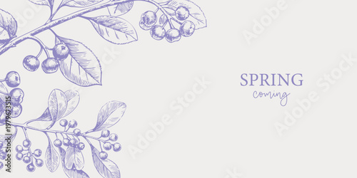 Hand-drawn illustration of spring foliage with berries and leaves in purple tones, featuring the text SPRING coming on a light background