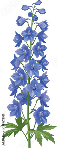Blue Delphinium Flower Summer Wedding Decorative