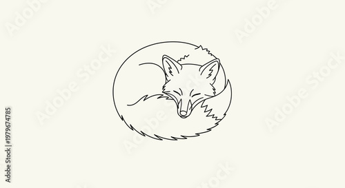 Minimalist outline illustration of a fox curled up sleeping in a circle