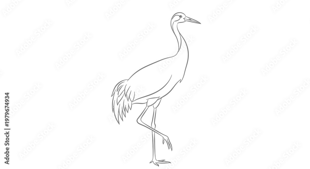 Fototapeta premium Elegant Crane Bird Line Drawing, Minimalist Animal Illustration, White Background