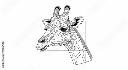 Giraffe Head Drawing, Line Art, Black and White, Isolated on White Background
