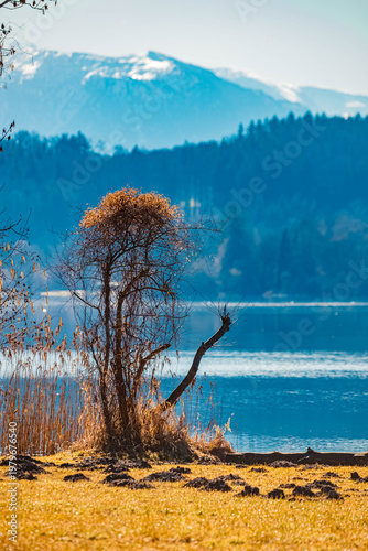 Alpine winter view near Waging am See, Lake Waginger See, Traunstein, Bavaria, Germany