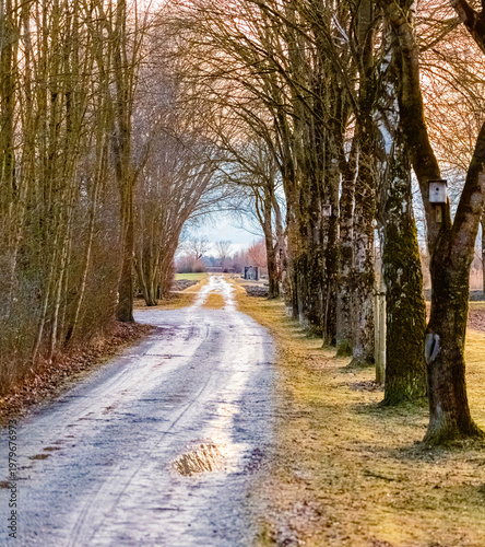 Winter landscape on a sunny day near Wallersdorf, Dingolfing, Landau, Bavaria, Germany
