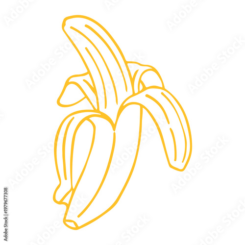 Hand drawn peeled banana fruit illustration line art
