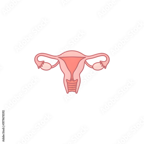 Female Reproductive System Medical Illustration Icon
