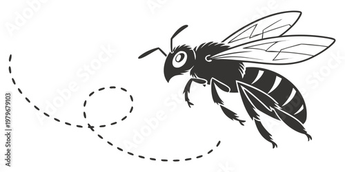 Flying bee with dotted flight path trail graphic dotted line flying insect nature study honeybee movement illustration monochrome isolated pollinator wildlife creature agriculture