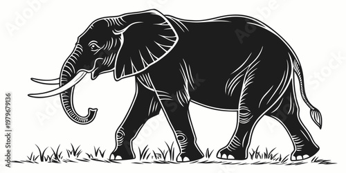 African elephant walking through grass black and white vector illustration silhouette with tusks and trunk raised elephant wildlife silhouette majestic pachyderm illustration engraving