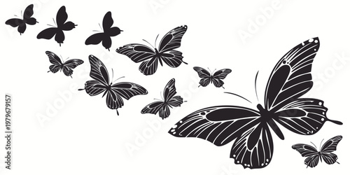Set of black butterfly silhouettes and detailed line art drawings shown flying upward in a dynamic group illustration for creative graphic projects with butterfly silhouette collection
