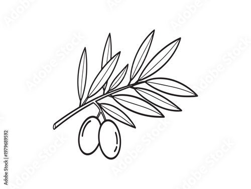 Title elegant olive branch sketch a botanical illustration of peace and mediterranean flavors description a detailed black and white sketch depicts an