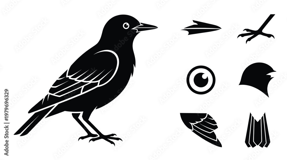 Obraz premium Blackbird vector illustration set featuring bird body head with beak eye wing and bird tail icons isolated on white background profile