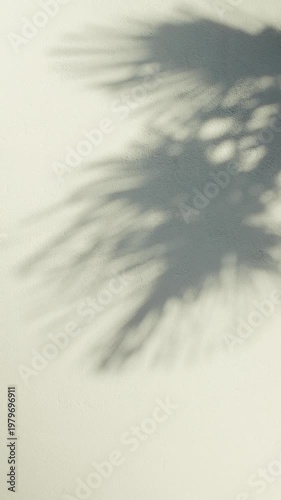 Shadowplay, palm leaves of tree in sunlight, shadow on stucco wall, summer background, backdrop