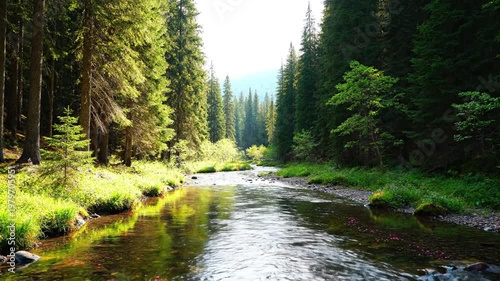 A serene forest river flows gently through a lush green landscape with tall trees and sunlight filtering through, creating a peaceful natural scenery
